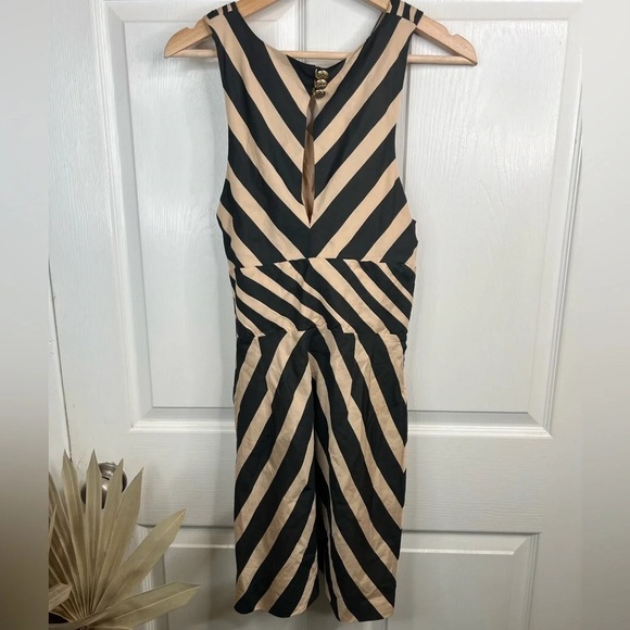 Leifsdottir Anthropologie Women's Black and Tan Striped  Sheath Dress Size 4 - Picture 3 of 11